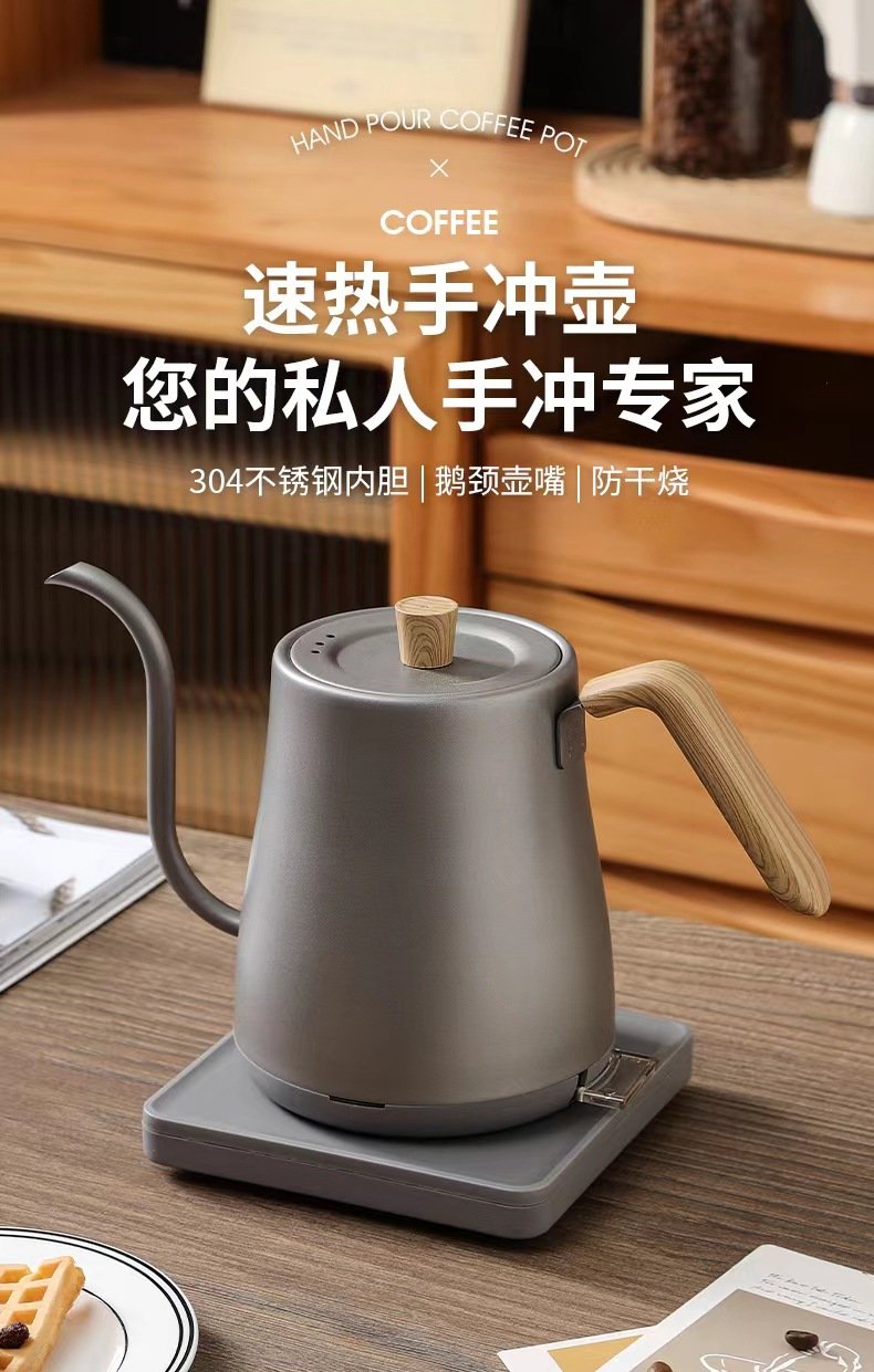 Electric Gooseneck Kettle